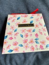 ケイズ ミニヨンギフトバッグ 22g