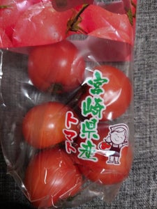 宮崎県　完熟桃太郎トマト　５００ｇの商品写真