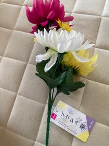 バル・コーポレーション　ブッシュ菊のレビュー画像