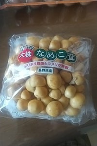 金丸物産金井きのこ園 大株なめこ