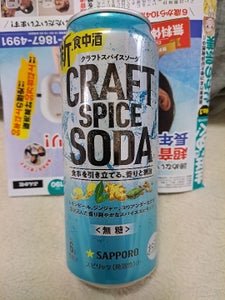 サッポロ　クラフトスパイスソーダ　缶　５００ｍｌのレビュー画像