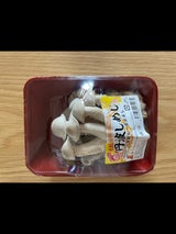 雪国 大粒丹波しめじレギュラーパック 90g