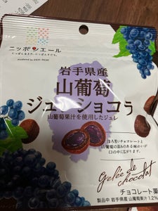 ニッポンエール　岩手産山葡萄ジュレショコラ　３５ｇの商品写真