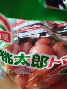 全農福岡　博多のトマト　５００ｇの商品写真