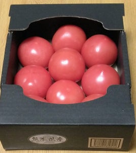 小松屋　不揃いトマト／箱の商品写真