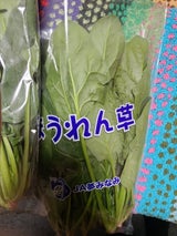 JA白河 ほーれん草