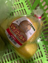 丸富 シナノゴールド 1P