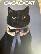 CACAOCAT ミックス CAT 9個