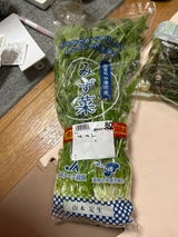 津田 山菜水煮 100g