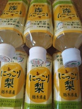 伊藤園 ニッポンエール 栃木にっこり梨 500g