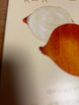 グリーンズ北見 北海道オニオンスープ 5g×12