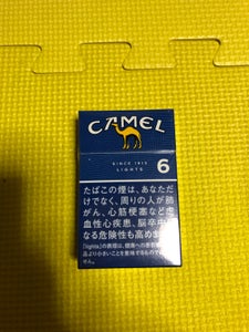ＪＴ　キャメル・Ｌ・Ｂの商品写真