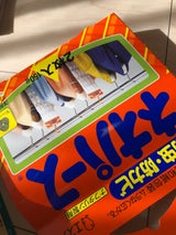 エステー ネオパース洋服ダンス用2枚 150g