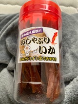 久慈食品 ポットおしゃぶりいか 72g