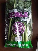 諸川 ほうれんそう茨城産 200g