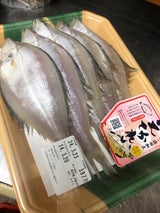 えん えてかれい 2尾