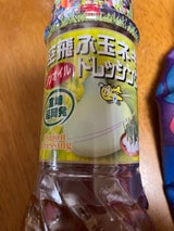 ヤマエ 空とぶ玉ねぎドレッシング 250ml