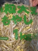 富士 小粒大豆もやし 1kg
