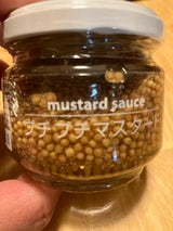 ファインドN プチプチマスタード 100g