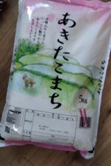 第一食糧 特選あきたこまち 国内産 5kg