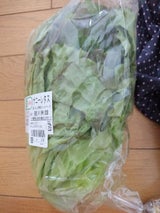 さんぶ 有機サニーレタス 1P