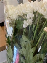 松本屋 洋花 480