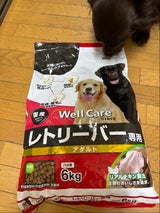 ウェルケア レトリーバー専用 アダルト 6kg
