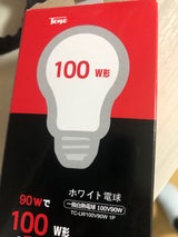 東洋 ホワイトフロスト電球 100W