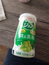 ジョア 1日分の鉄&葉酸マスカット 125ml