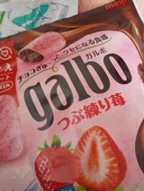 明治 ガルボつぶ練り苺パウチ 69g