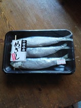 吉原水産 中羽目刺 3尾