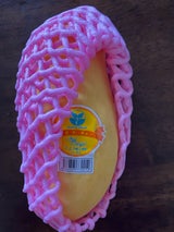 トロピカルST ブラジル産マンゴー12S