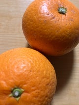 乃万青果 清見タンゴールM スタンドパック