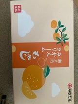 やまだ屋 瀬戸内みかんクリームもみじ 4個