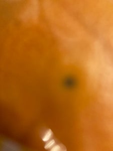 ユニオン　グレープフルーツスタールビーケミカル袋のレビュー画像