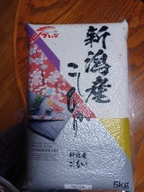 沖縄 新潟こしひかり 5kg