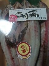 丸栄 真あじ長崎産 3P