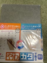 ソニック やわカタ下敷きB5 1P