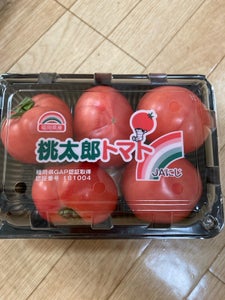 全農福岡　トマトにじ　５００ｇの商品写真