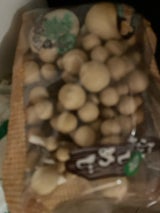 一実屋 ぶなしめじ