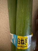 静岡 白ねぎ 1束