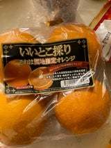 名果 ネーブルオレンジ(高糖度)