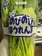 JAいわて ほうれん草 1P