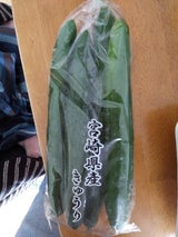 宮崎竹田 胡瓜 3本