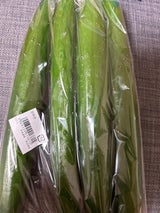 群馬経済連 きゅうり 7本