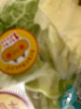 NFF 角切り白菜 200g