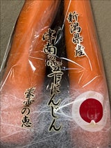 フジミヤ 津南産雪ノ下にんじん 1P