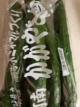 JAいしのまき きゅうり