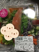 彩り野菜とサーモンのチョップドトスサラダ 1食