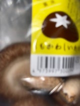 下川産 生椎茸菌床LS品